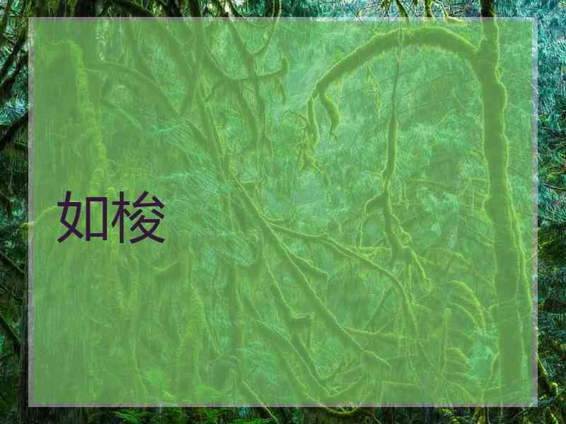 如梭