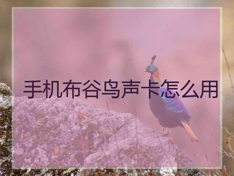 手机布谷鸟声卡怎么用