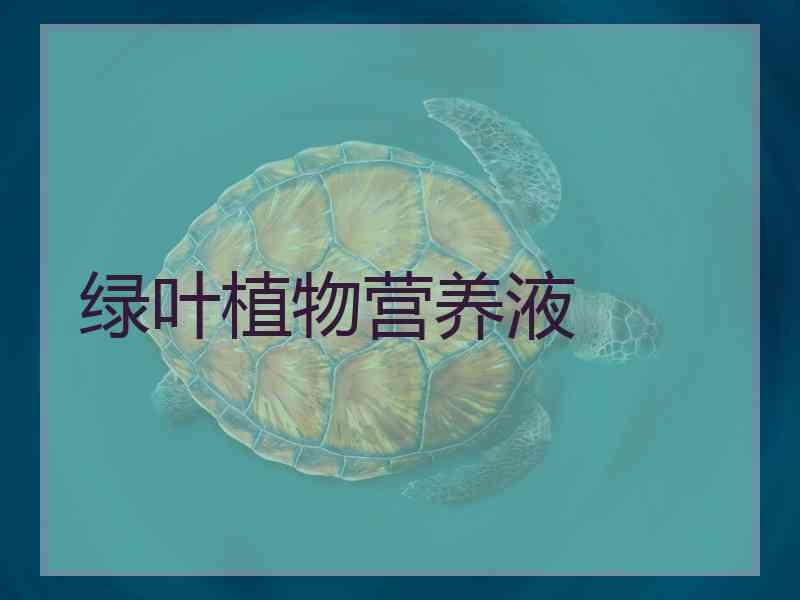 绿叶植物营养液