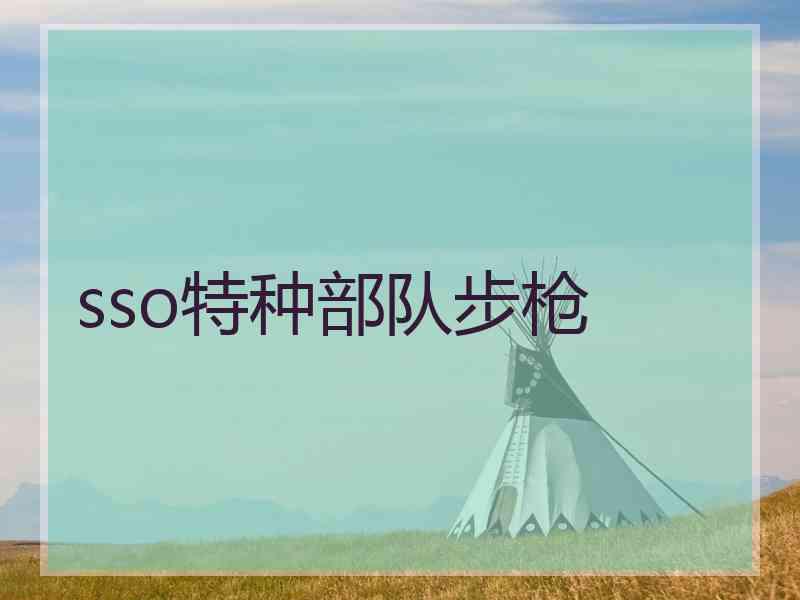 sso特种部队步枪