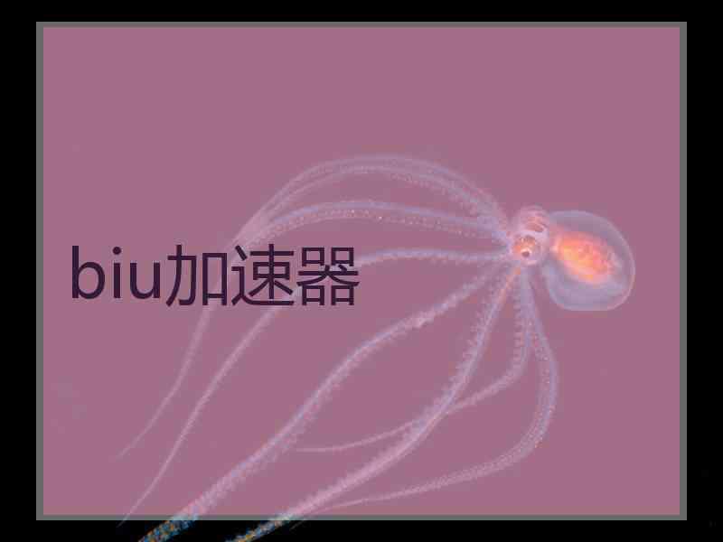 biu加速器