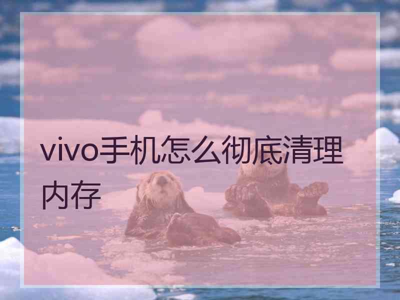 vivo手机怎么彻底清理内存