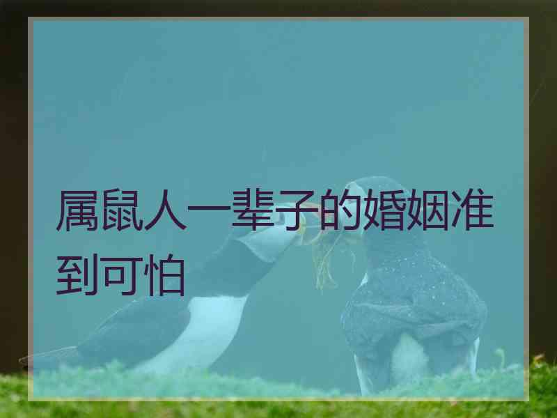 属鼠人一辈子的婚姻准到可怕