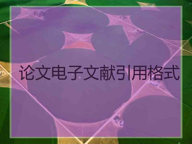 论文电子文献引用格式