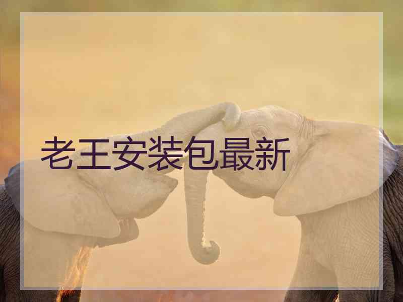 老王安装包最新