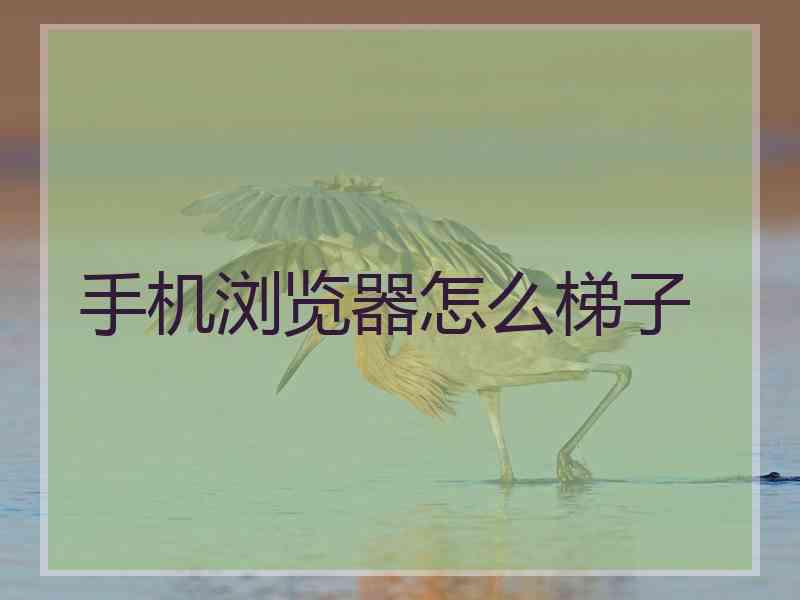 手机浏览器怎么梯子