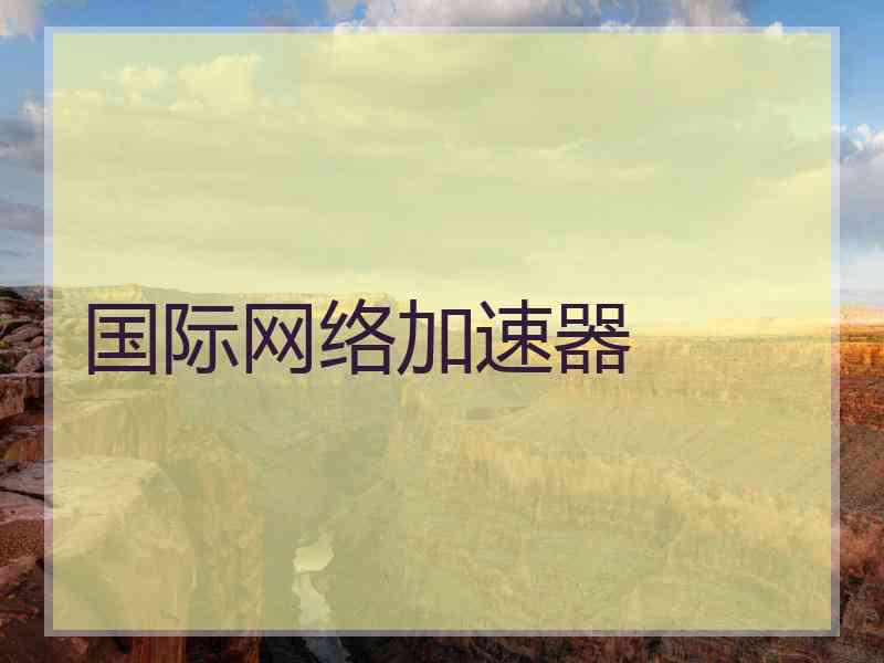 国际网络加速器