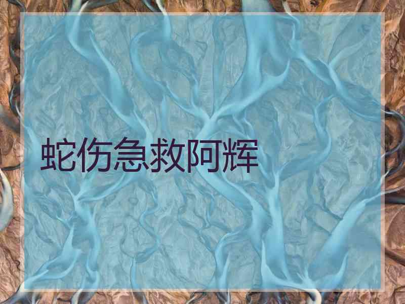 蛇伤急救阿辉