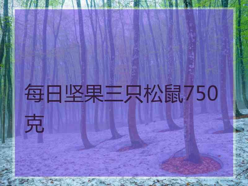 每日坚果三只松鼠750克
