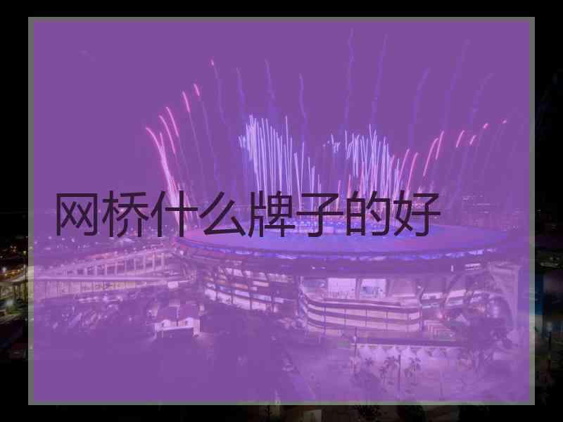 网桥什么牌子的好