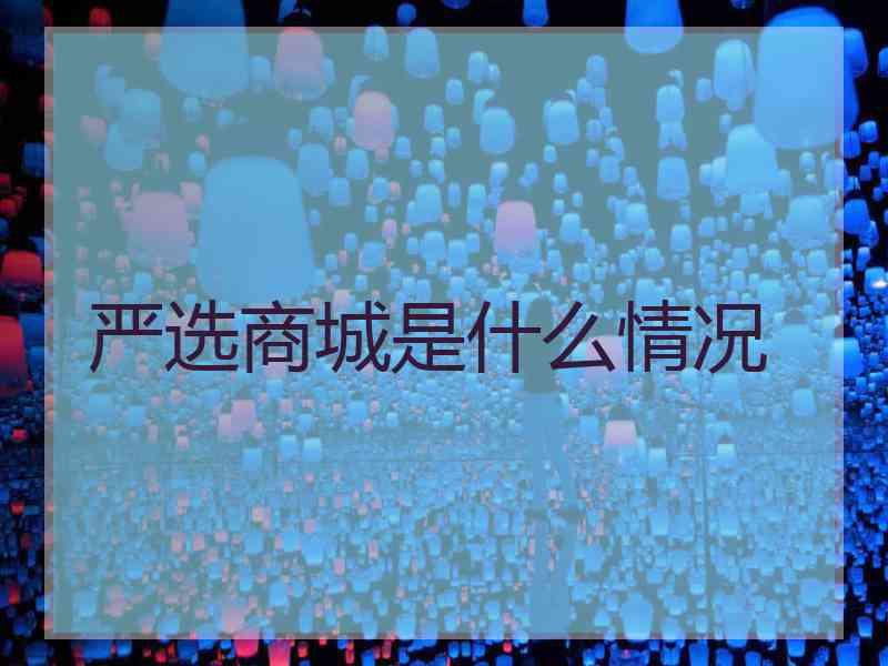 严选商城是什么情况