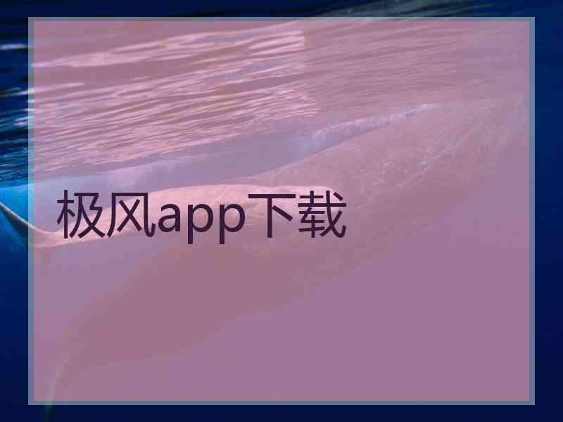极风app下载