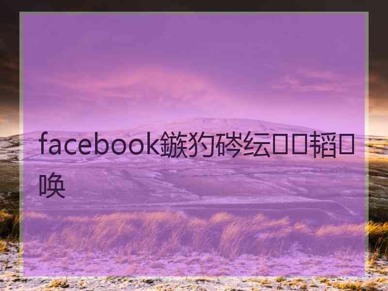 facebook鏃犳硶纭韬唤