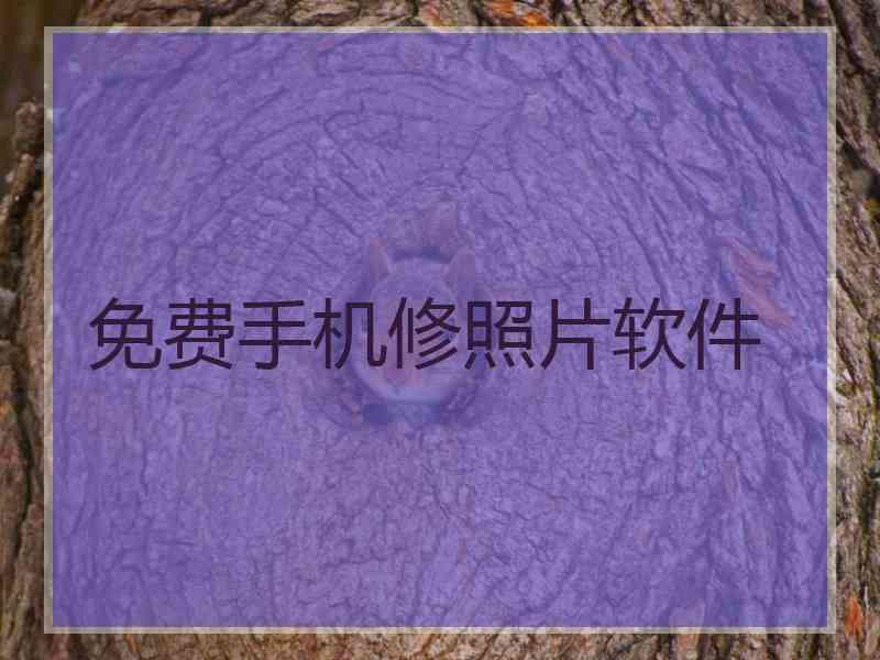 免费手机修照片软件