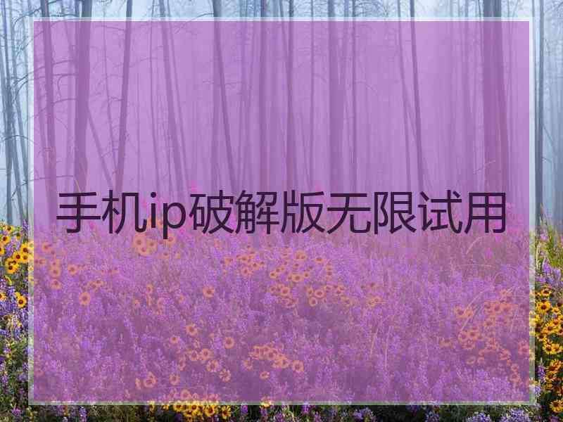 手机ip破解版无限试用