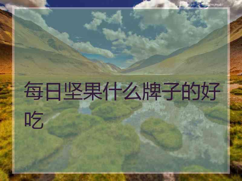 每日坚果什么牌子的好吃