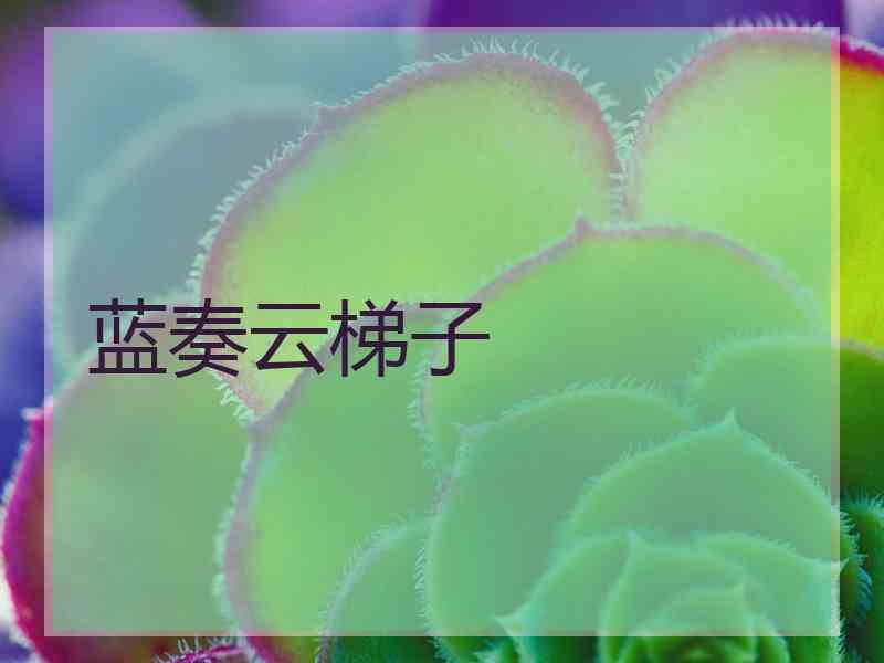 蓝奏云梯子