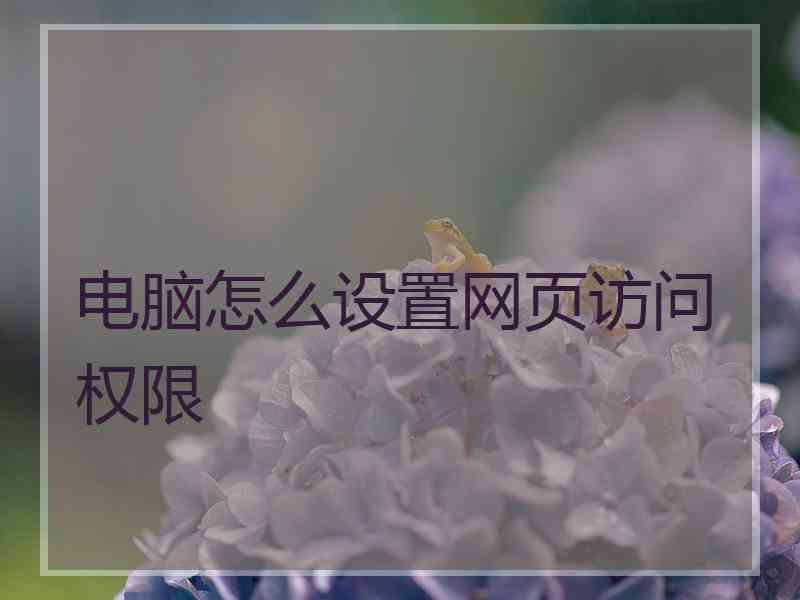 电脑怎么设置网页访问权限