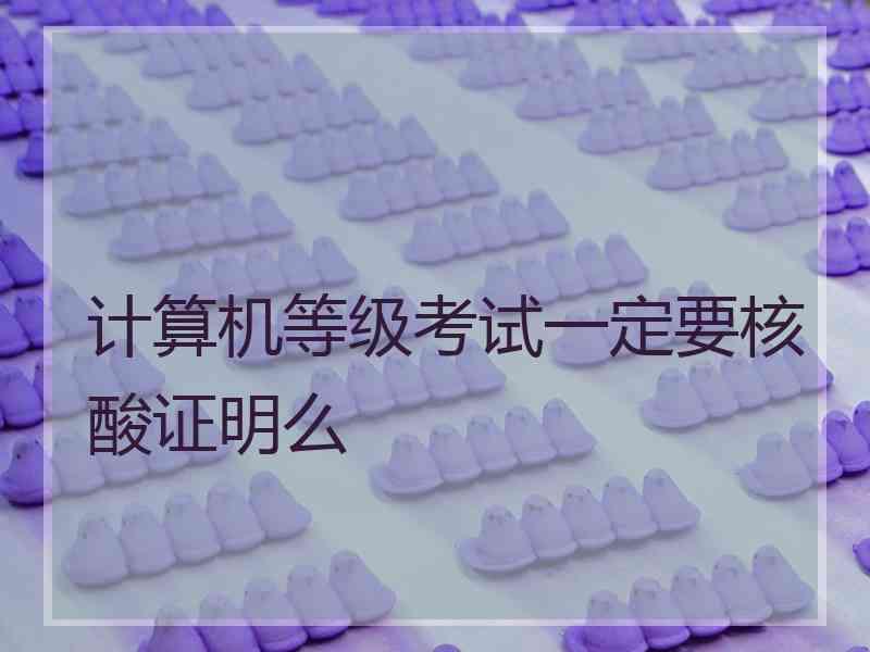 计算机等级考试一定要核酸证明么