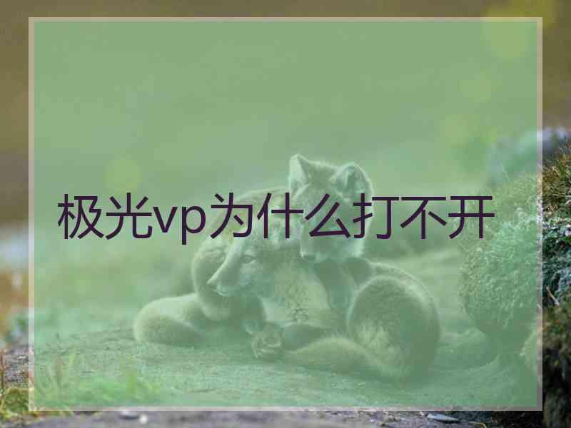 极光vp为什么打不开