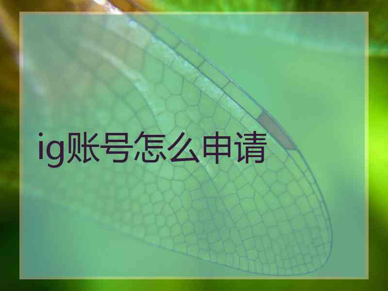 ig账号怎么申请