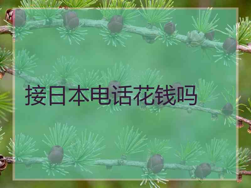 接日本电话花钱吗
