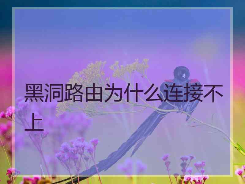 黑洞路由为什么连接不上