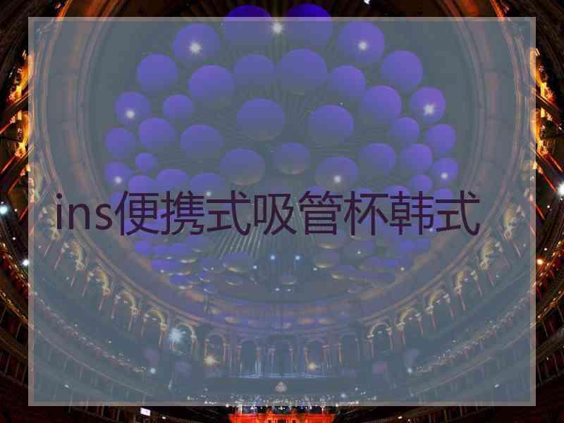ins便携式吸管杯韩式