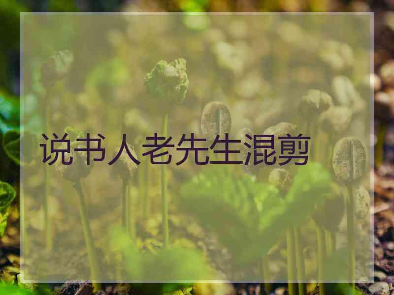 说书人老先生混剪