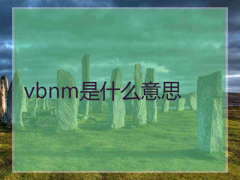 vbnm是什么意思