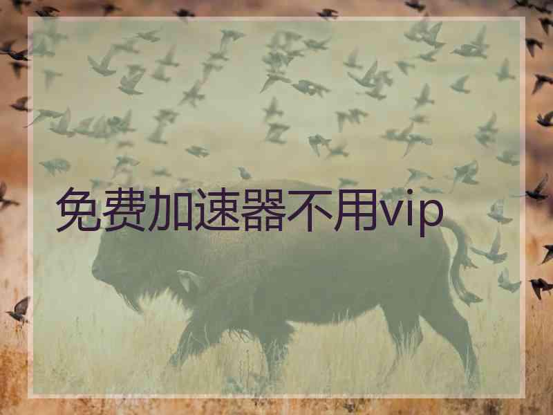 免费加速器不用vip