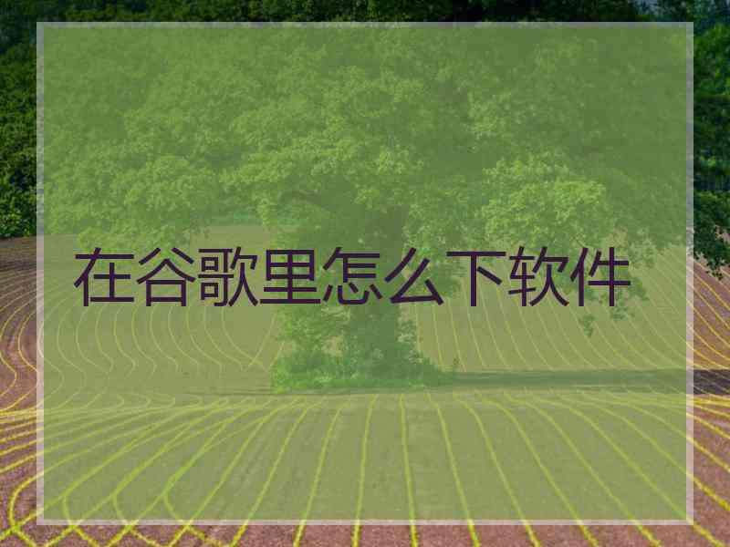 在谷歌里怎么下软件