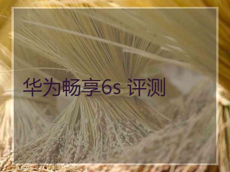 华为畅享6s 评测