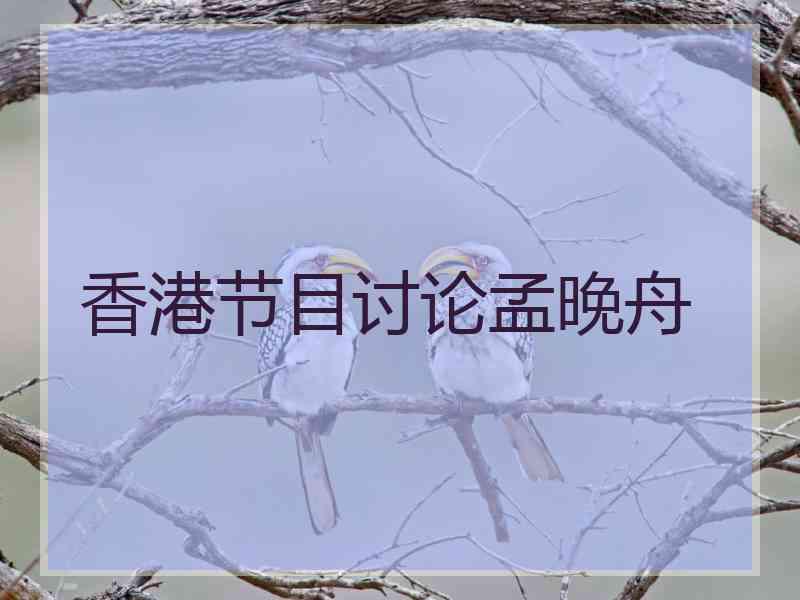 香港节目讨论孟晚舟