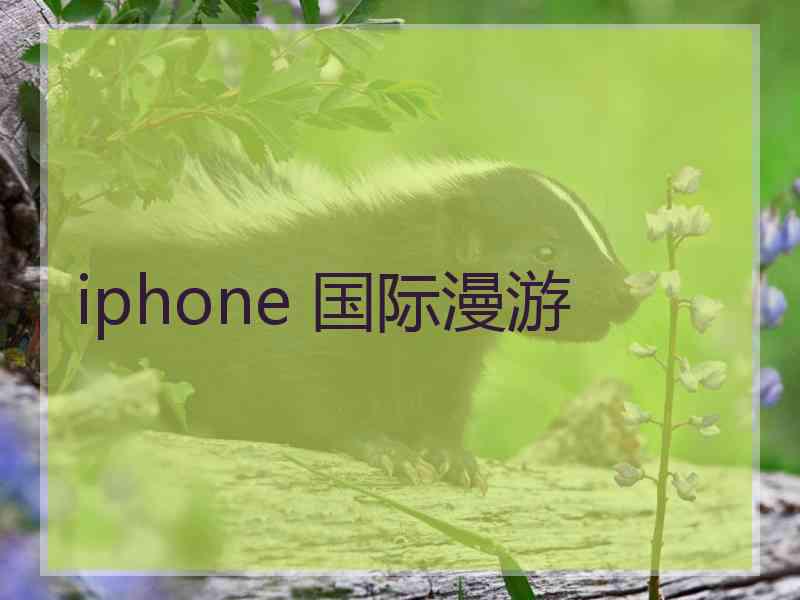 iphone 国际漫游