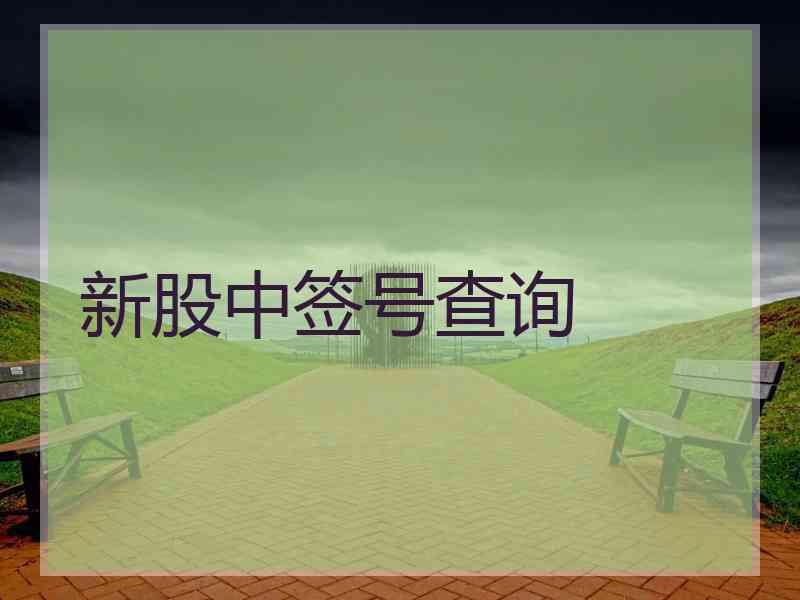 新股中签号查询