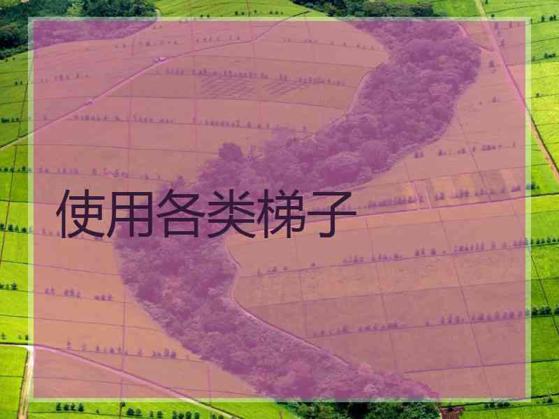使用各类梯子