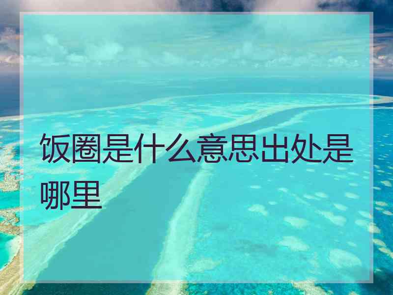 饭圈是什么意思出处是哪里