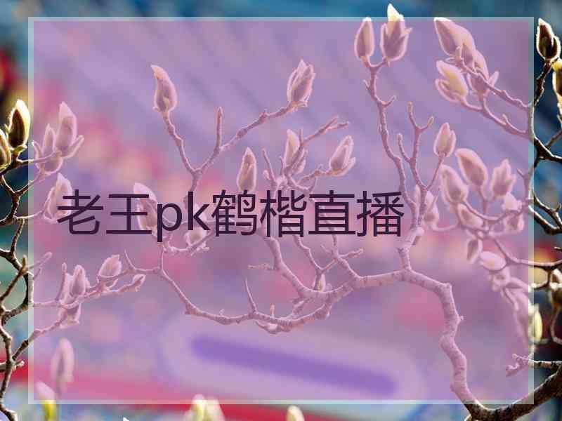 老王pk鹤楷直播