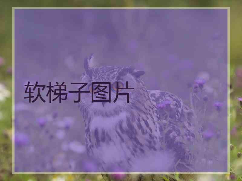 软梯子图片