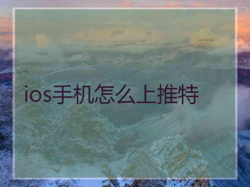 ios手机怎么上推特