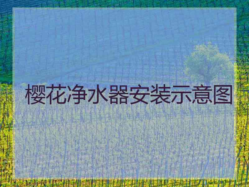 樱花净水器安装示意图