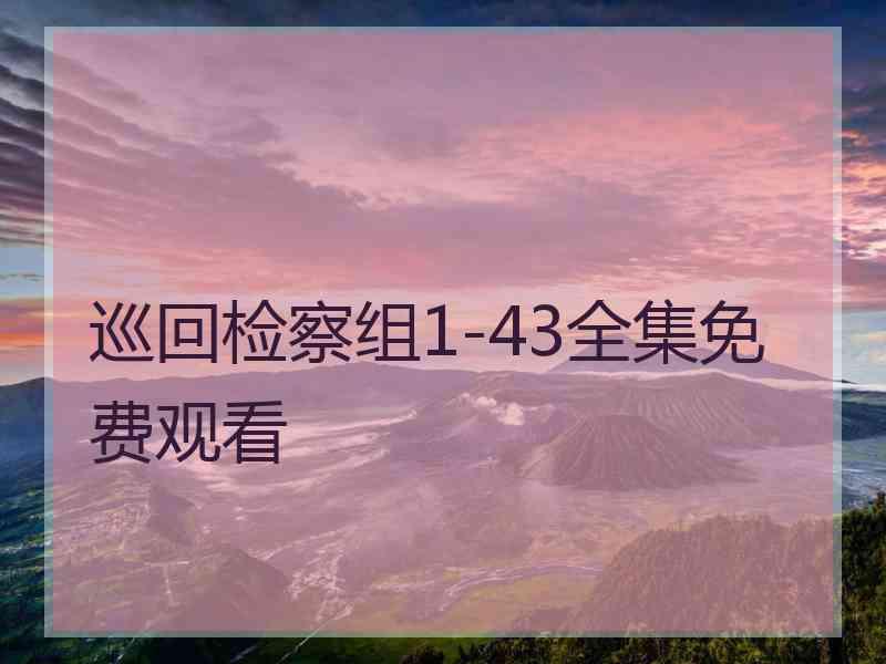 巡回检察组1-43全集免费观看