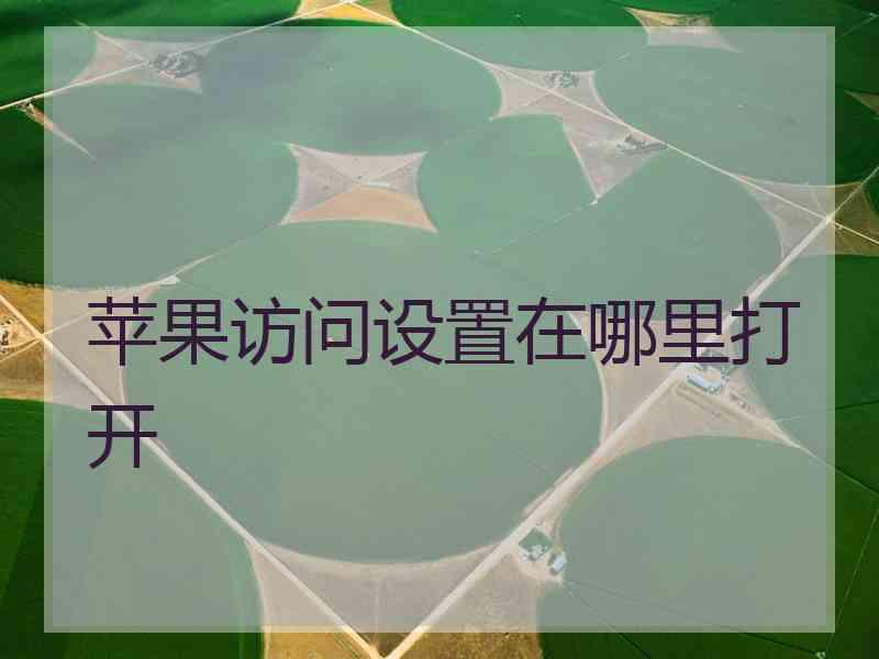 苹果访问设置在哪里打开