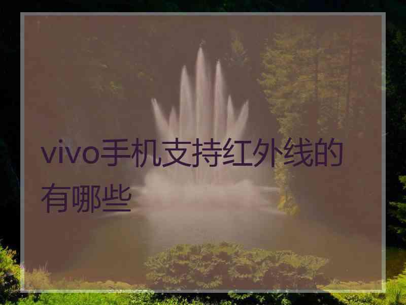 vivo手机支持红外线的有哪些
