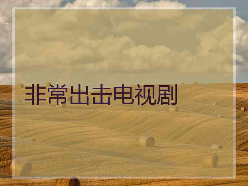 非常出击电视剧