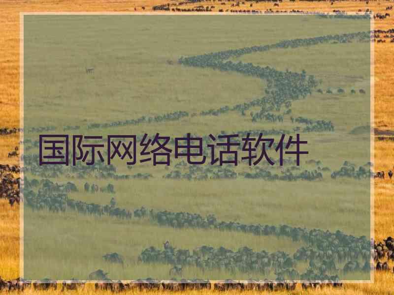 国际网络电话软件