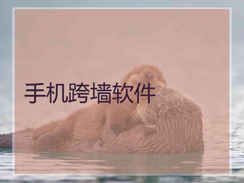 手机跨墙软件