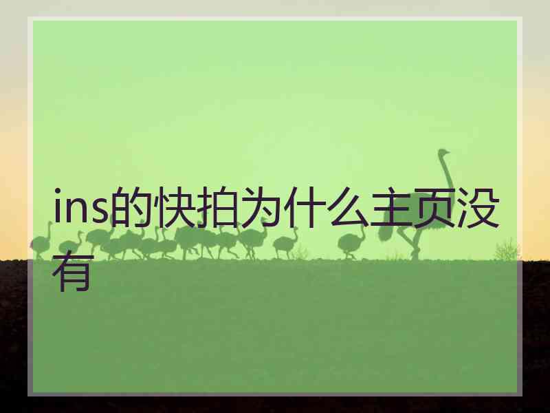 ins的快拍为什么主页没有