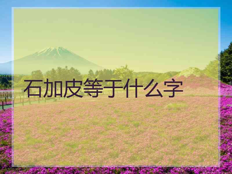 石加皮等于什么字